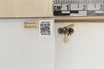 Media type: image;   Entomology 792439 Aspect: Labels